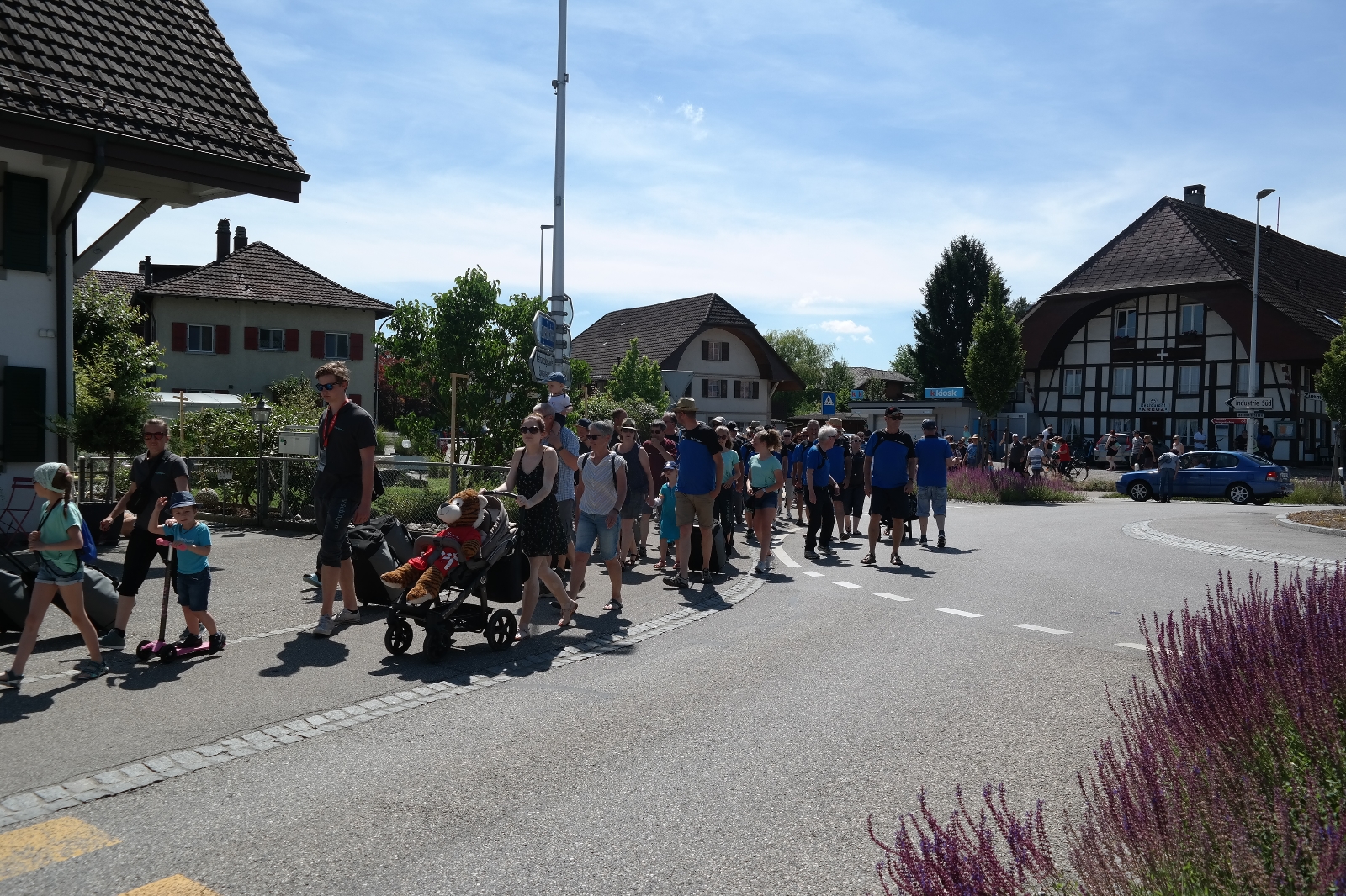 Bild1 (295)